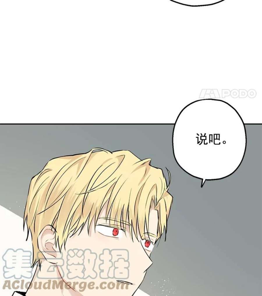 真与假的精灵师少女8.凯拉和骑士团