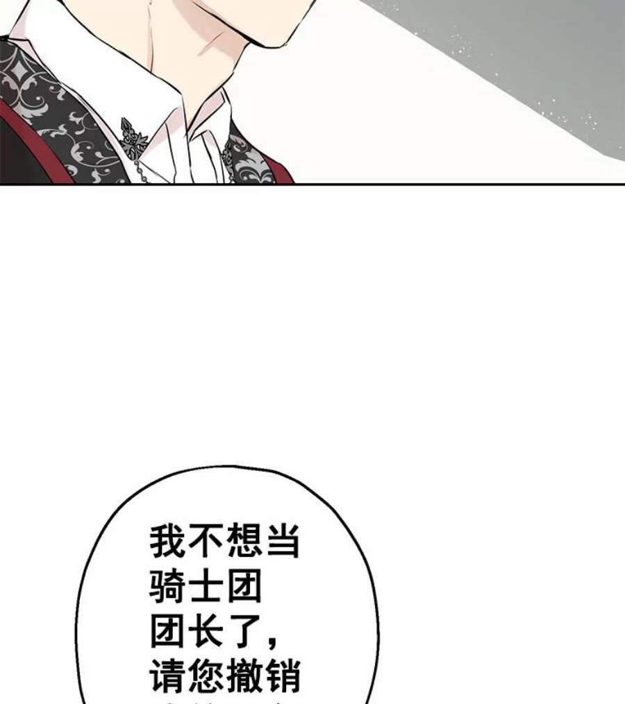 真与假的精灵师少女8.凯拉和骑士团