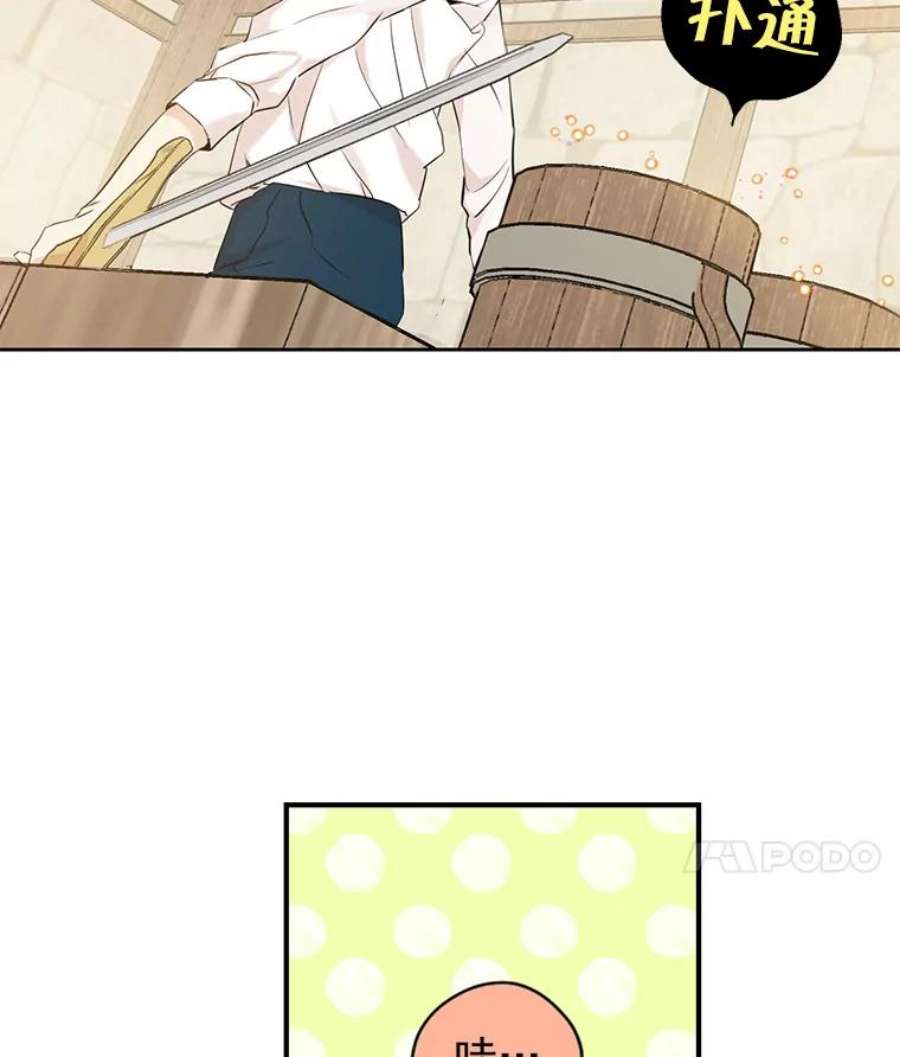 真与假的精灵师少女9.骑士团的欢迎会