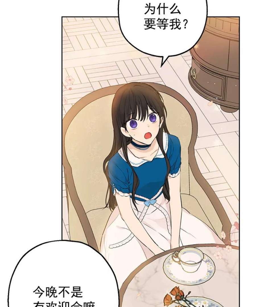 真与假的精灵师少女9.骑士团的欢迎会