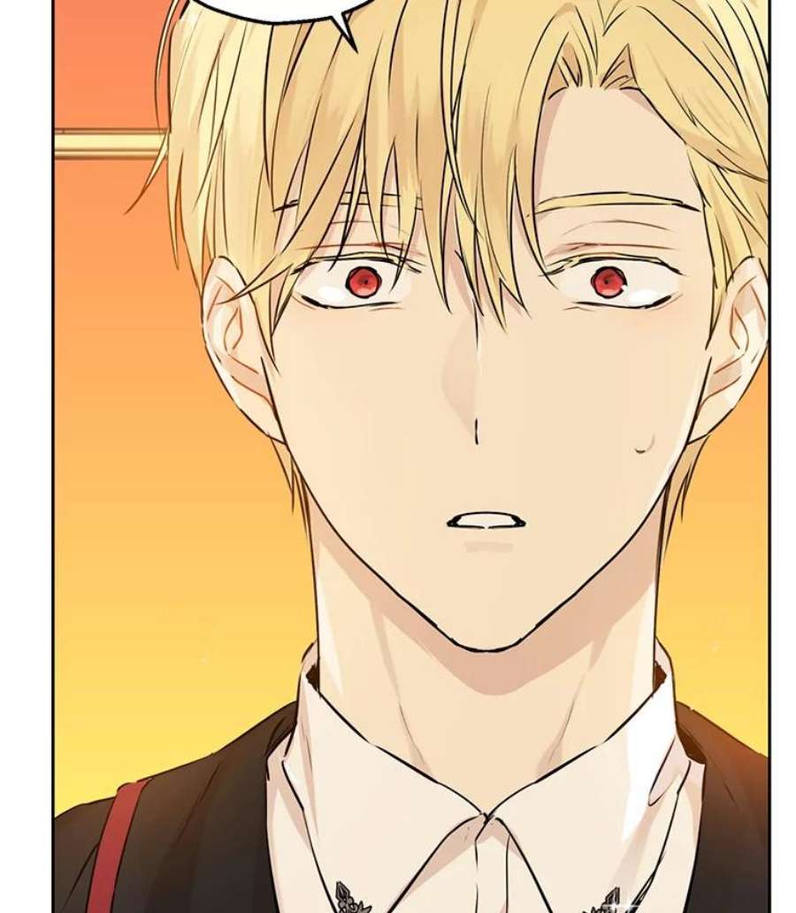 真与假的精灵师少女9.骑士团的欢迎会