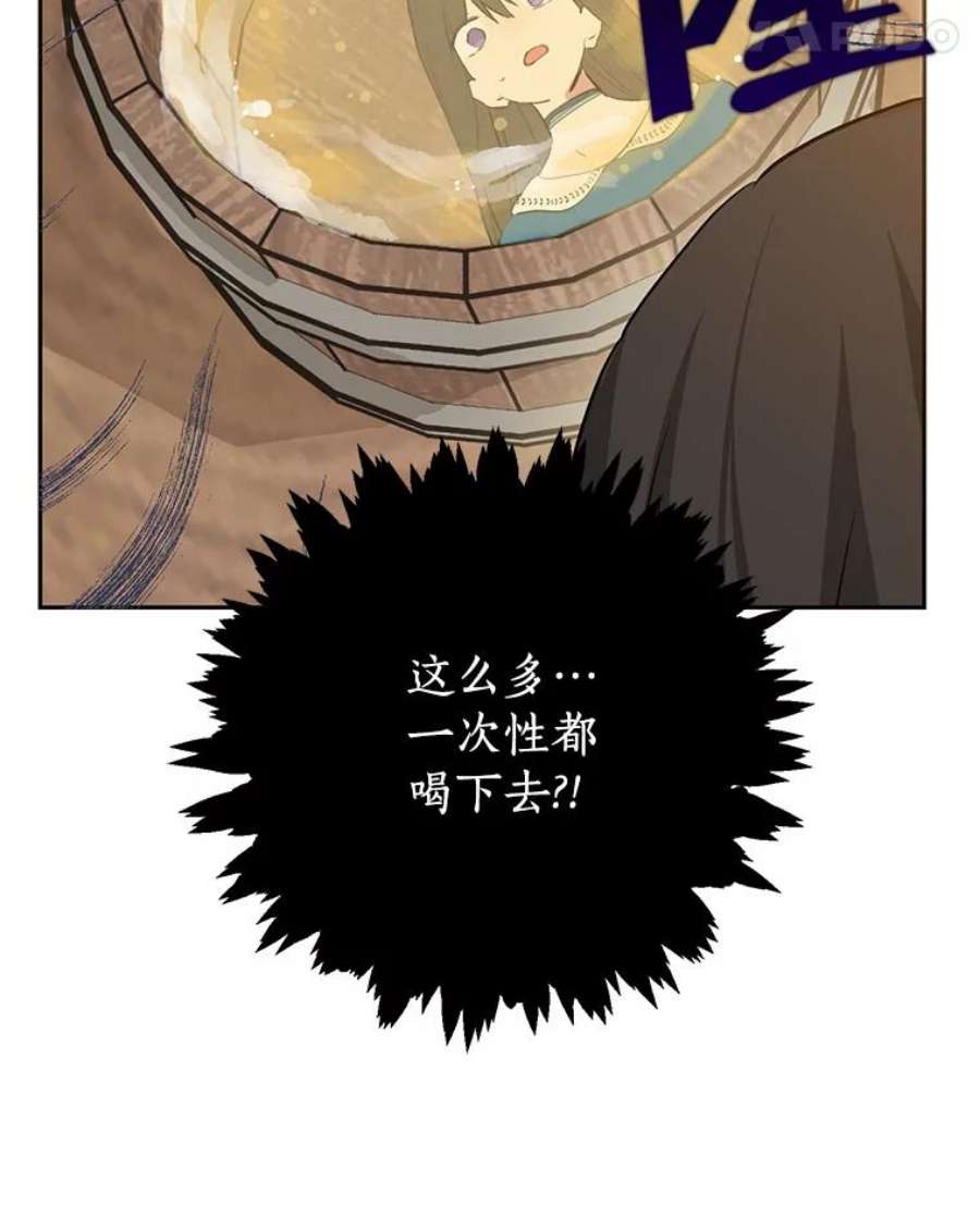 真与假的精灵师少女10.醉酒