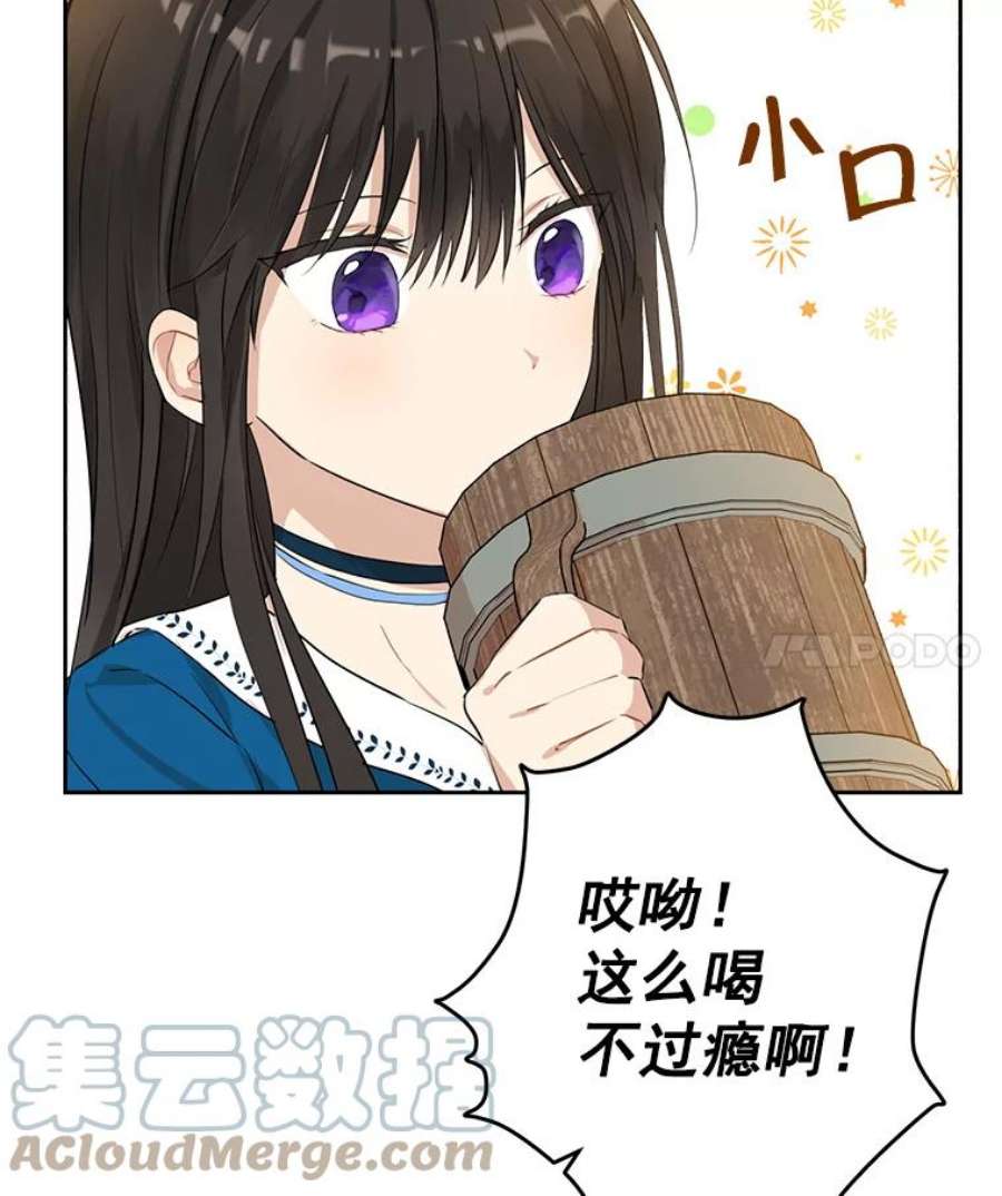 真与假的精灵师少女10.醉酒