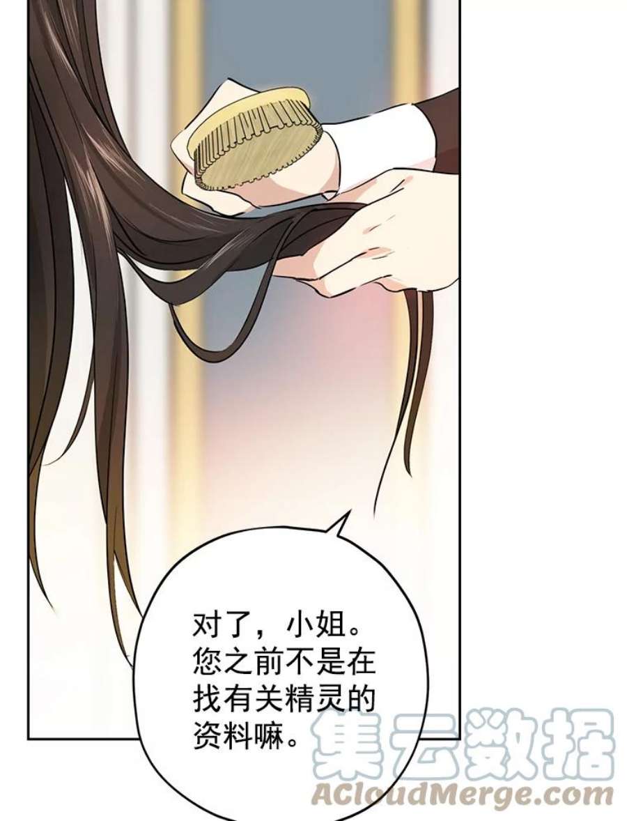 真与假的精灵师少女11.萝洁推荐的小说
