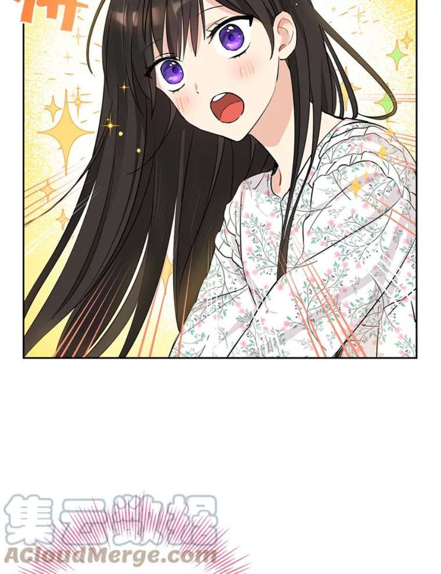 真与假的精灵师少女12.斯黛拉的仲夏之夜