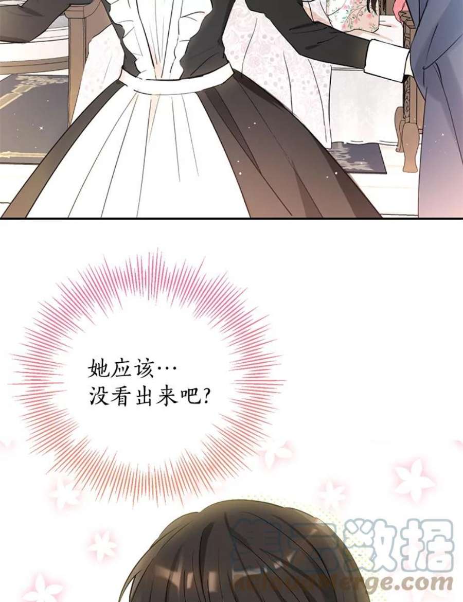 真与假的精灵师少女12.斯黛拉的仲夏之夜