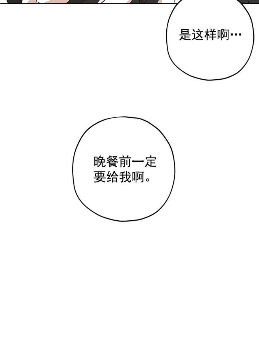 真与假的精灵师少女12.斯黛拉的仲夏之夜