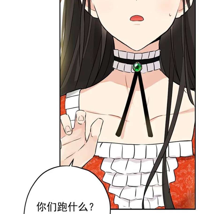 真与假的精灵师少女12.斯黛拉的仲夏之夜