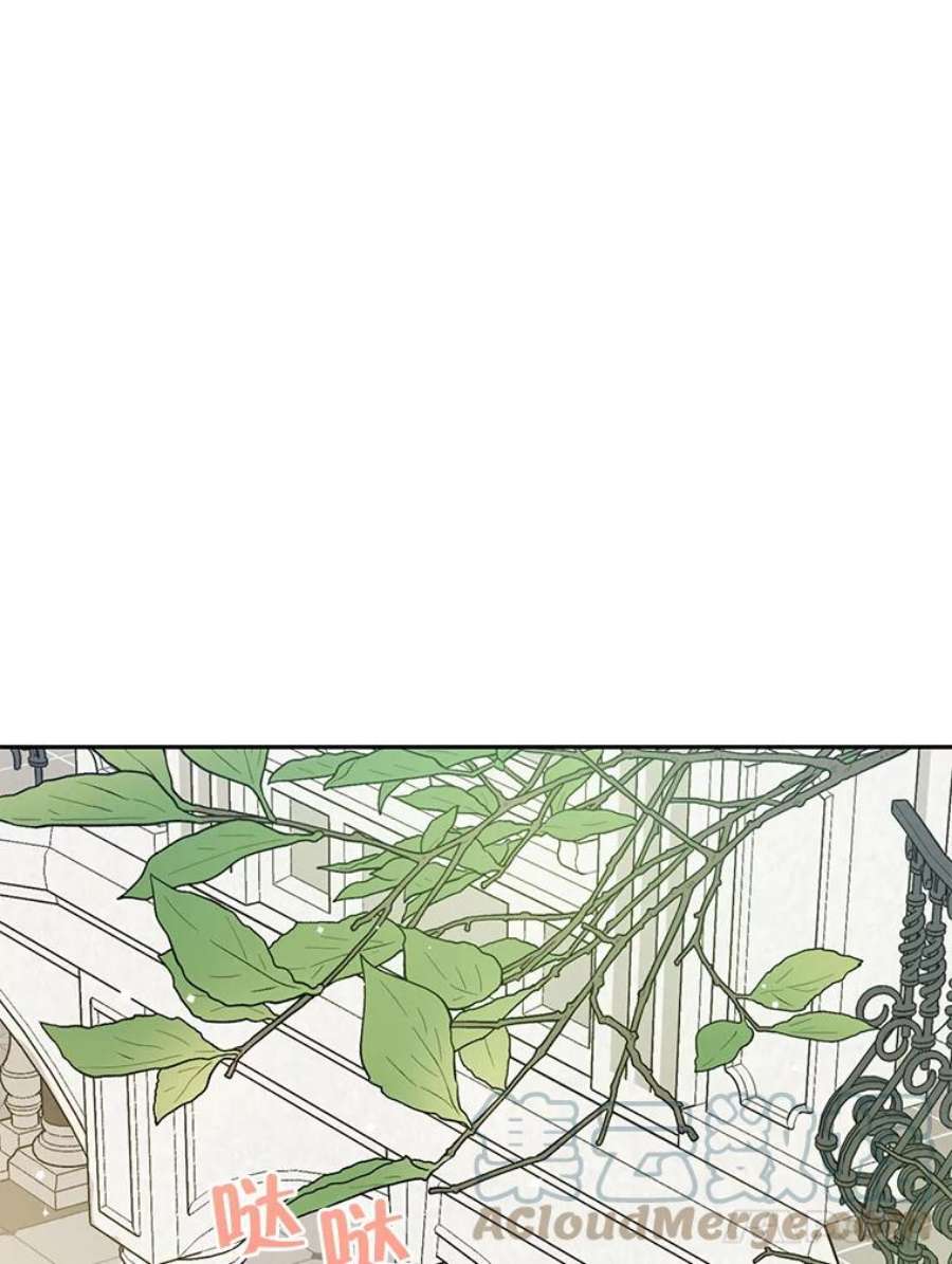 真与假的精灵师少女12.斯黛拉的仲夏之夜