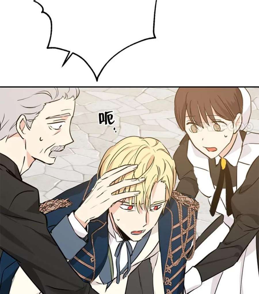 真与假的精灵师少女13.正式步入社交界