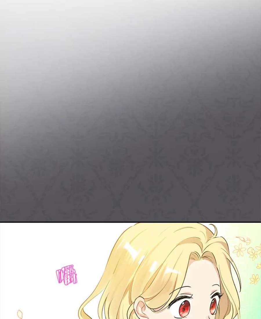 真与假的精灵师少女13.正式步入社交界