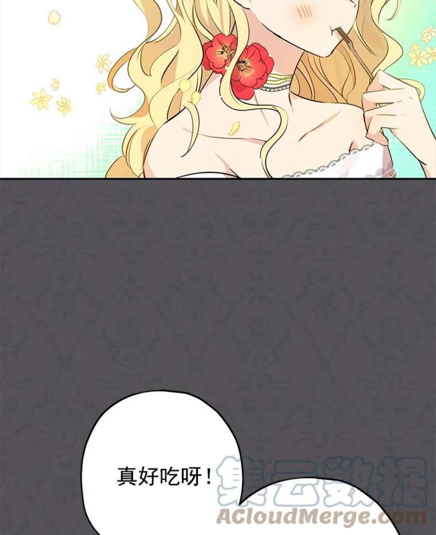 真与假的精灵师少女13.正式步入社交界