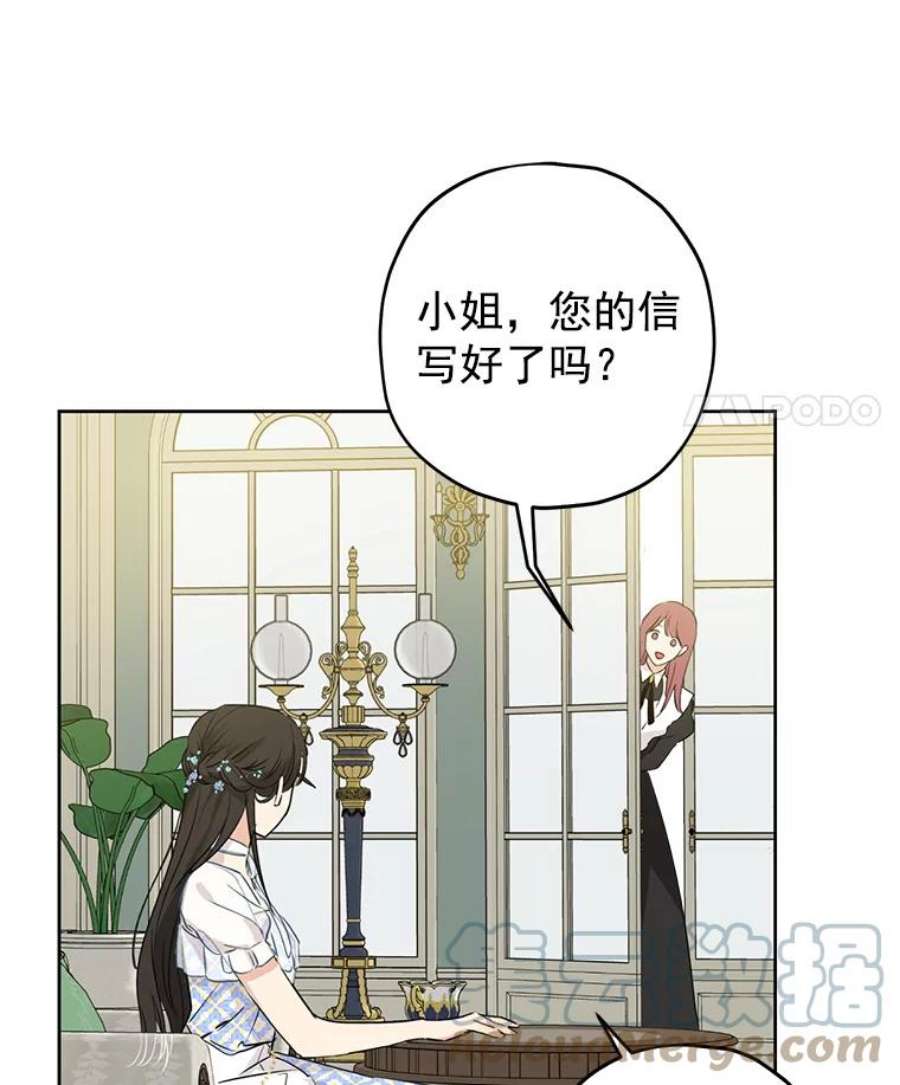 真与假的精灵师少女13.正式步入社交界