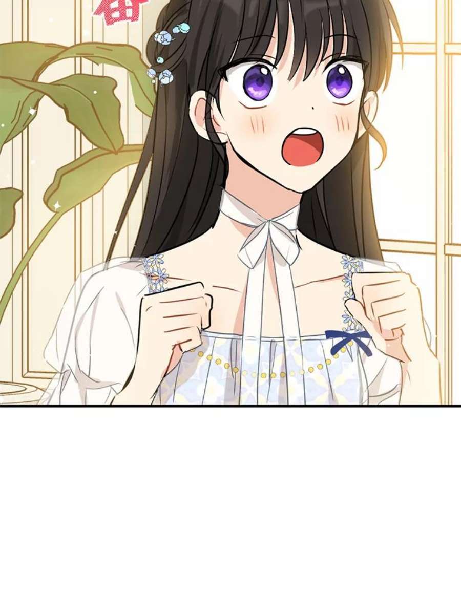 真与假的精灵师少女13.正式步入社交界