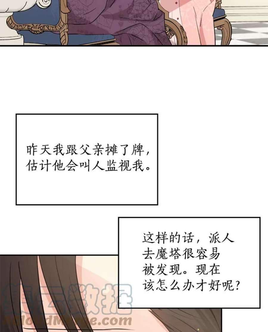 真与假的精灵师少女15.为参加宴会做准备