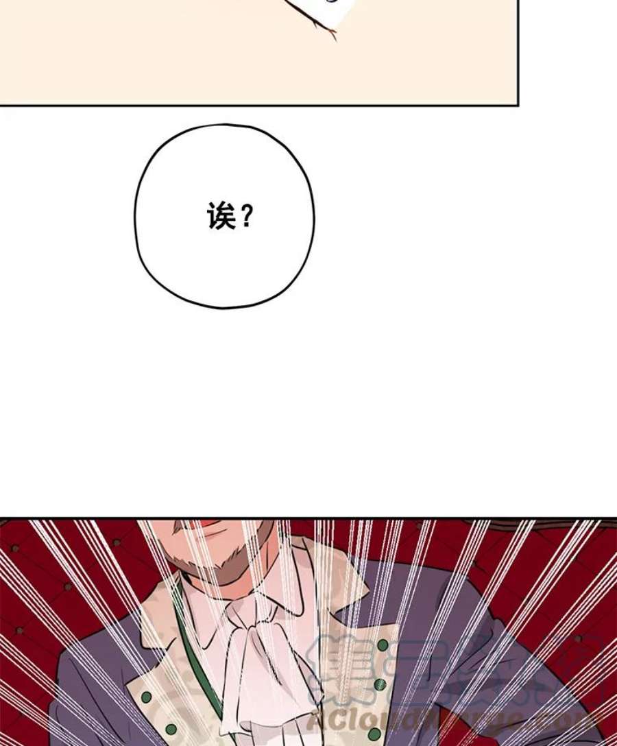 真与假的精灵师少女17.命运般的邂逅