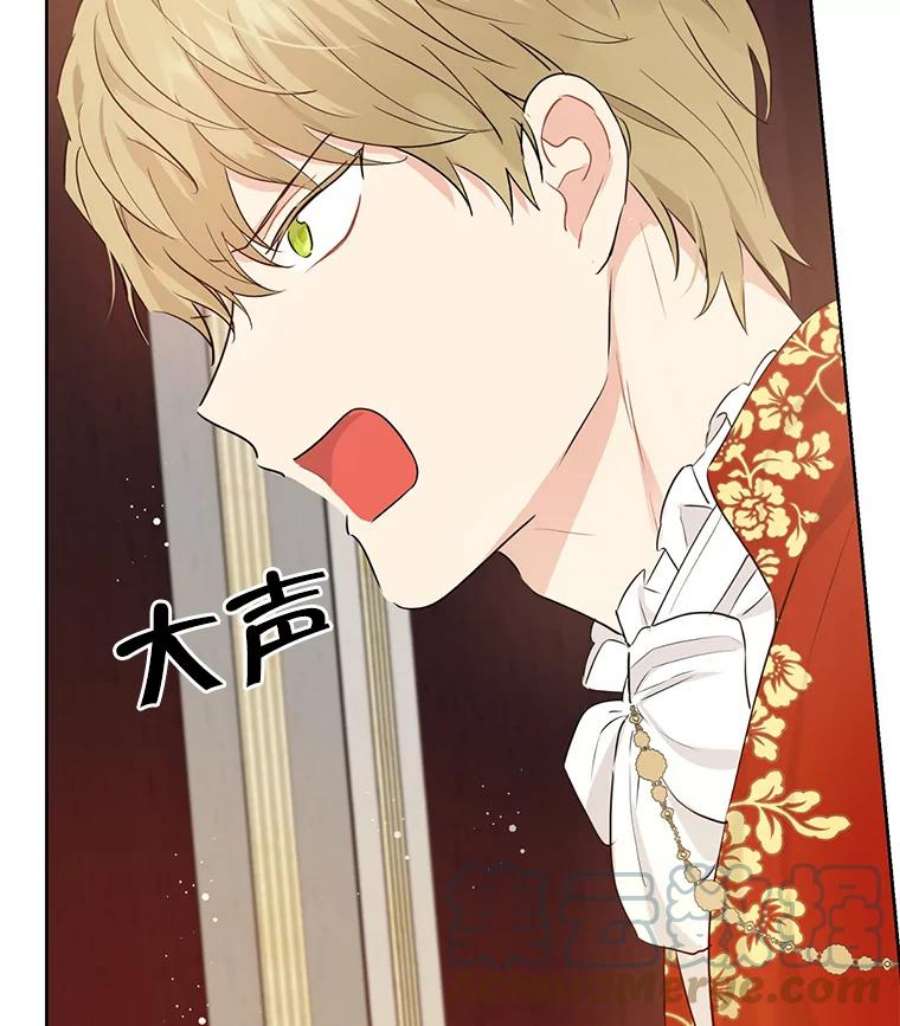 真与假的精灵师少女17.命运般的邂逅