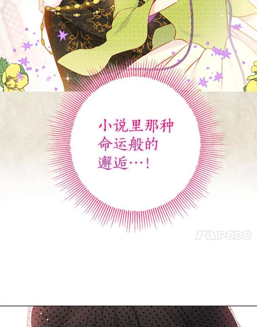 真与假的精灵师少女17.命运般的邂逅