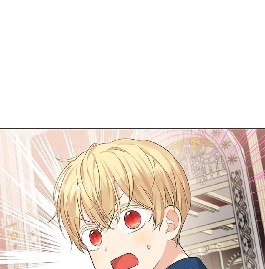 真与假的精灵师少女17.命运般的邂逅