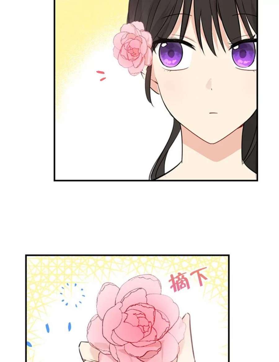 真与假的精灵师少女19.伪装