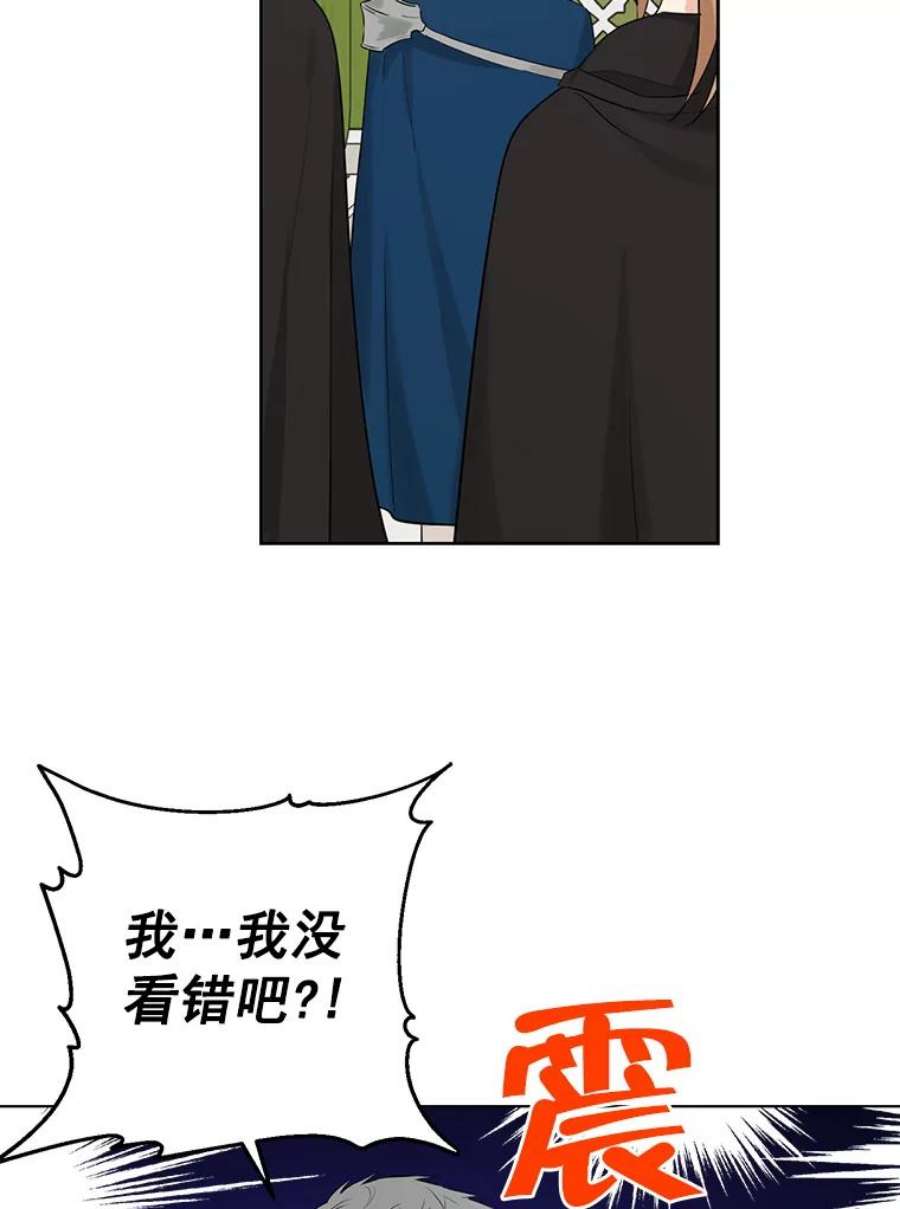 真与假的精灵师少女19.伪装