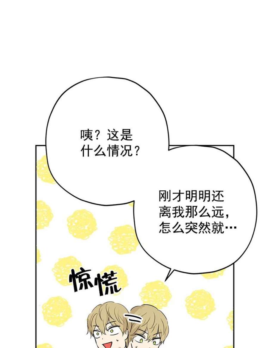 真与假的精灵师少女19.伪装