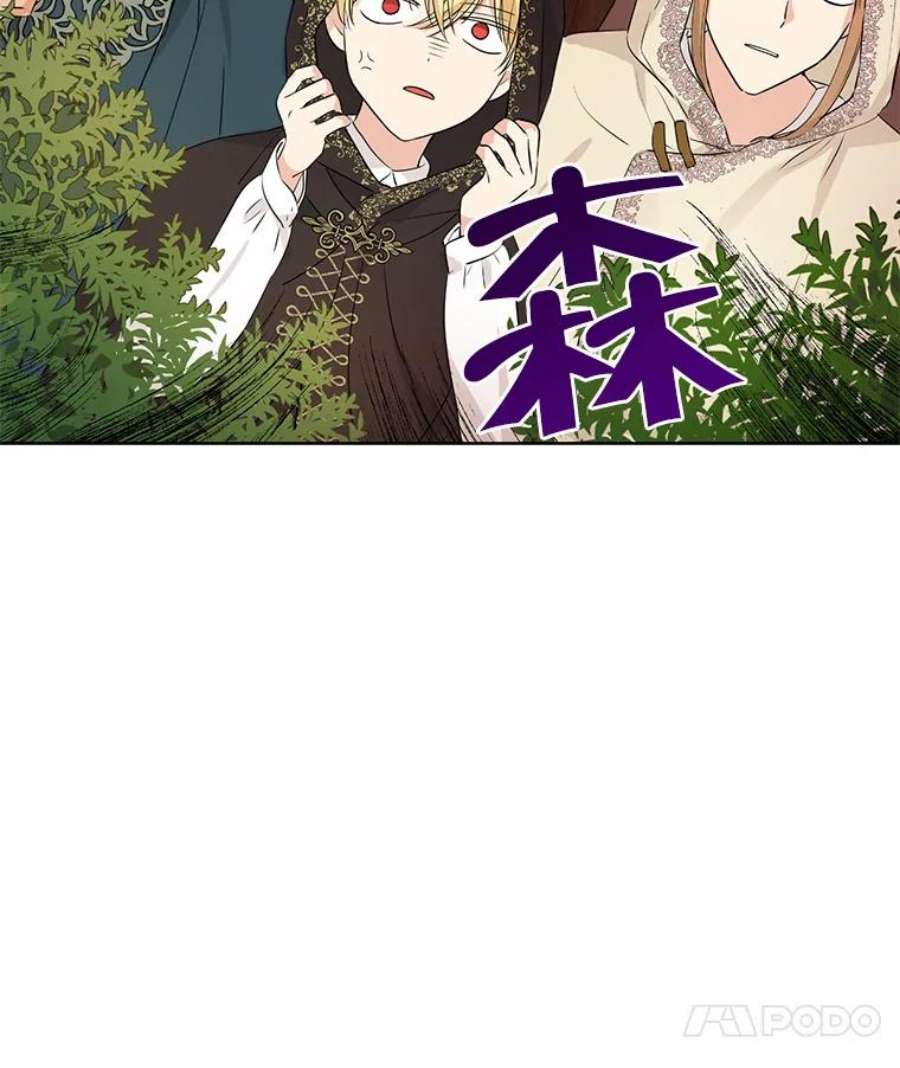 真与假的精灵师少女19.伪装