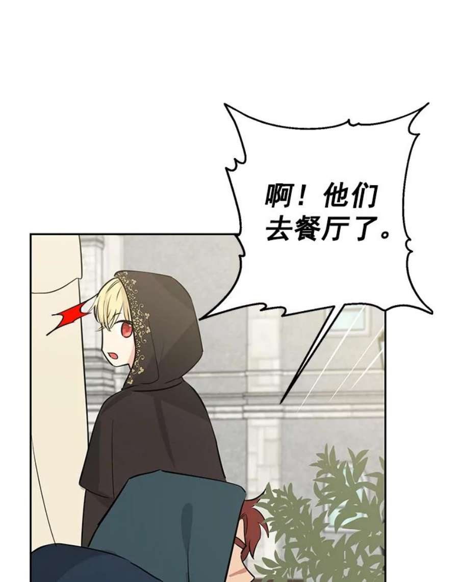 真与假的精灵师少女19.伪装