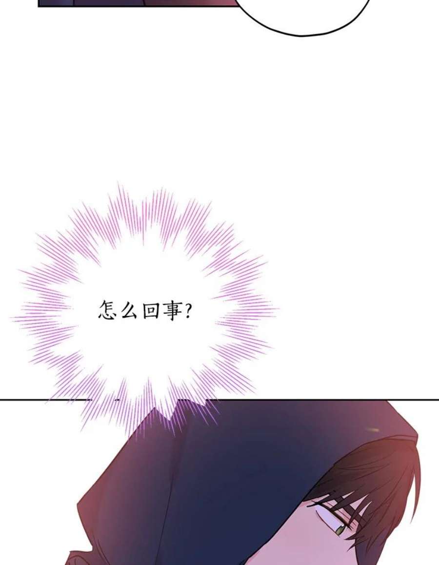 真与假的精灵师少女20.“棒打鸳鸯”计划