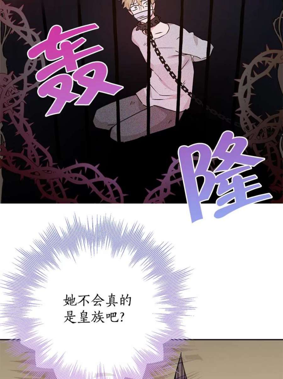 真与假的精灵师少女21.艾登子爵的真面目