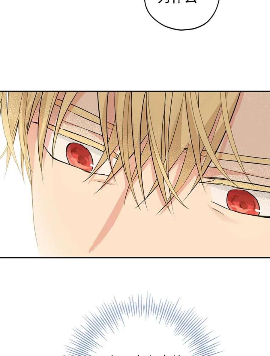 真与假的精灵师少女22.父女面谈