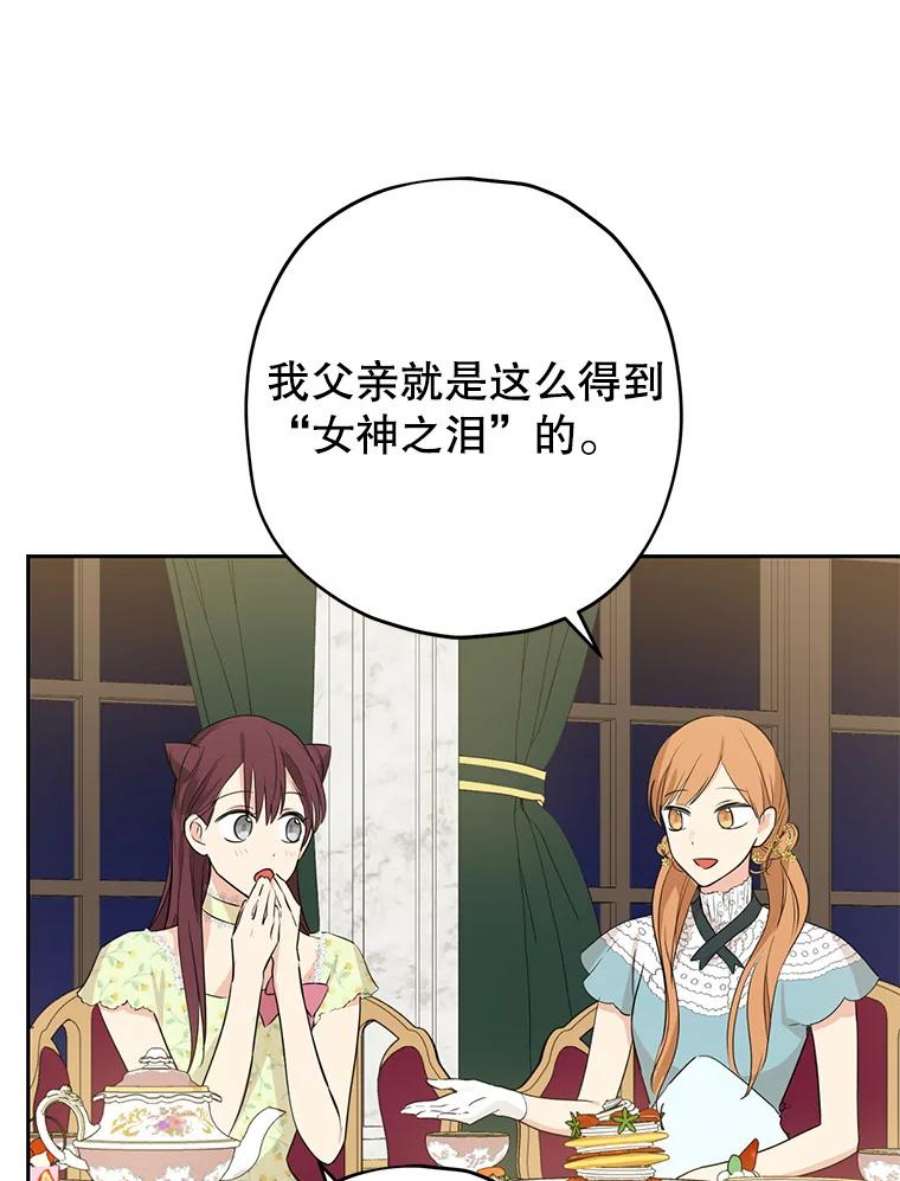 真与假的精灵师少女23.久违的宴会