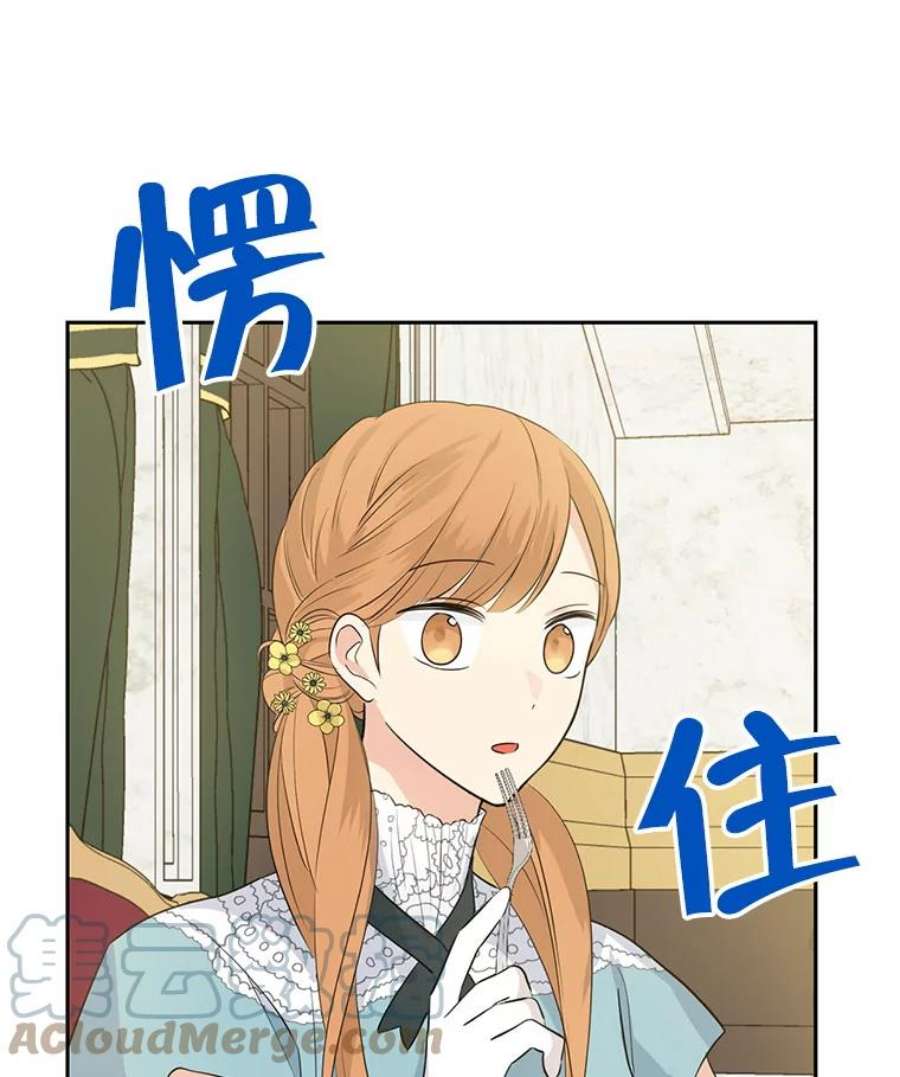 真与假的精灵师少女23.久违的宴会