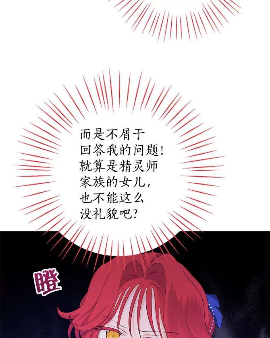 真与假的精灵师少女29.沙龙