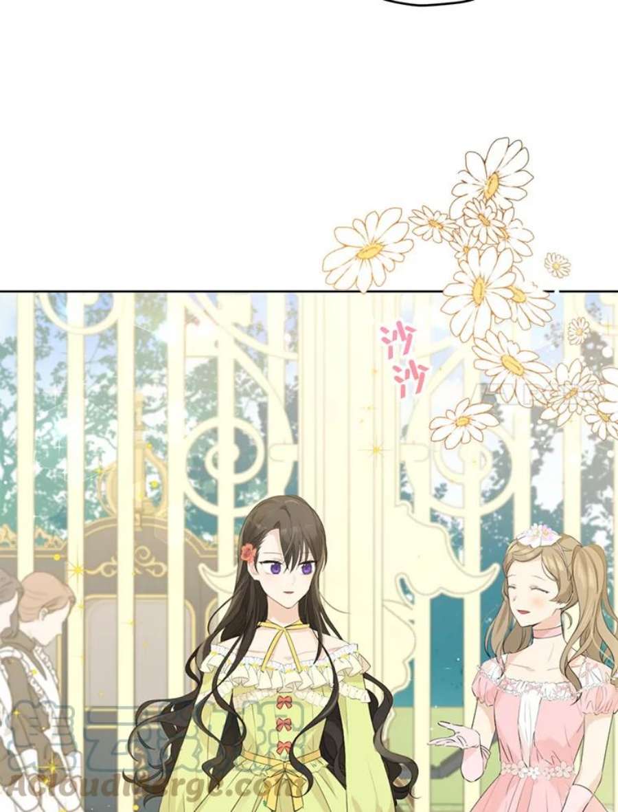 真与假的精灵师少女29.沙龙