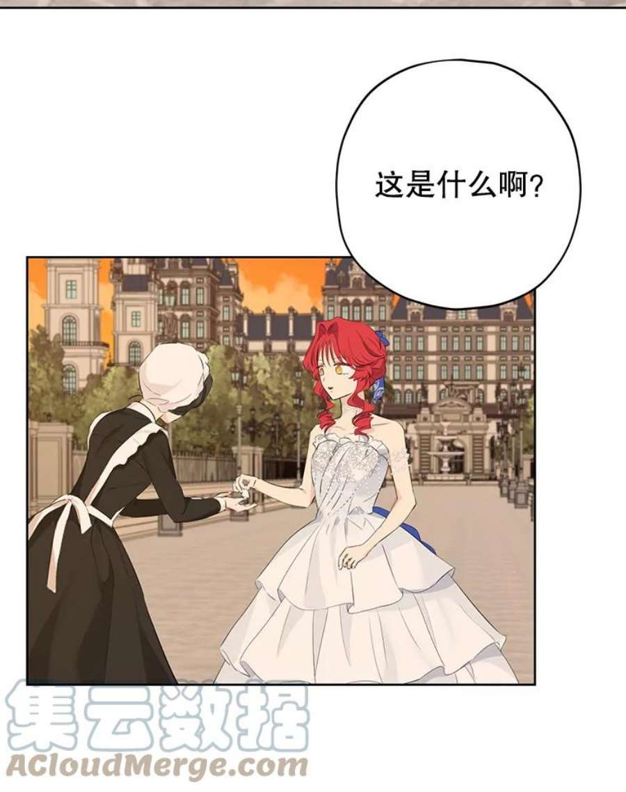 真与假的精灵师少女29.沙龙