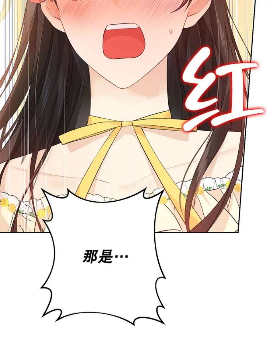 真与假的精灵师少女29.沙龙