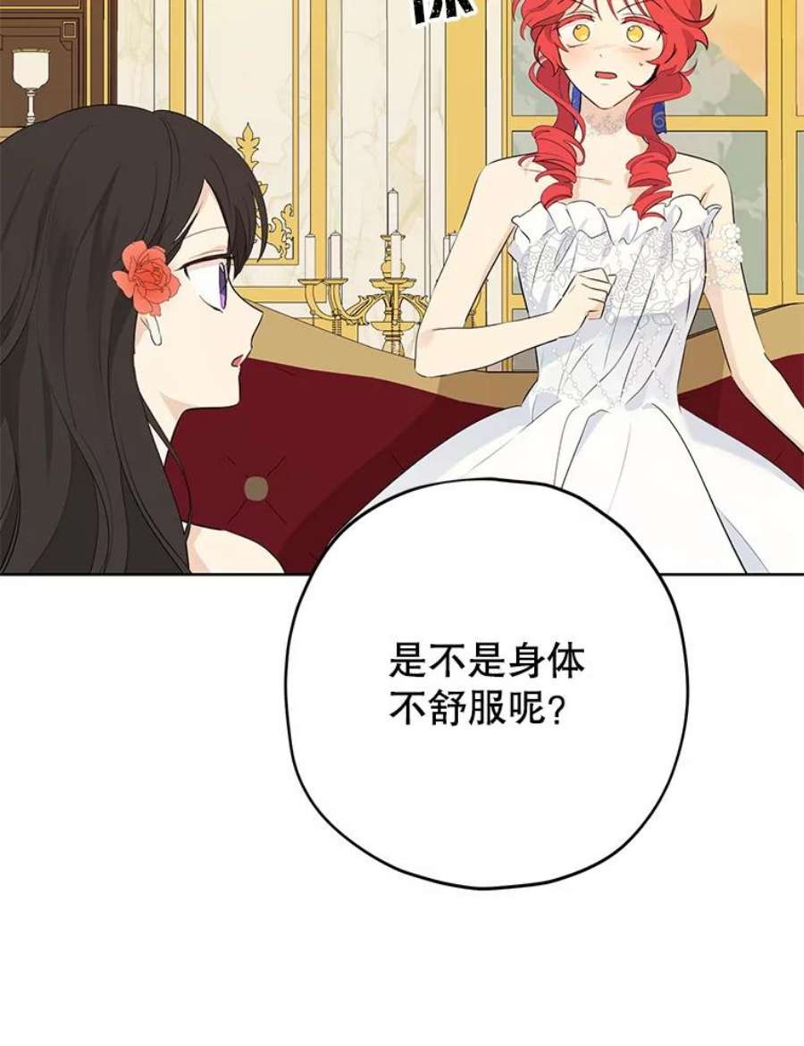 真与假的精灵师少女30.吐露真心