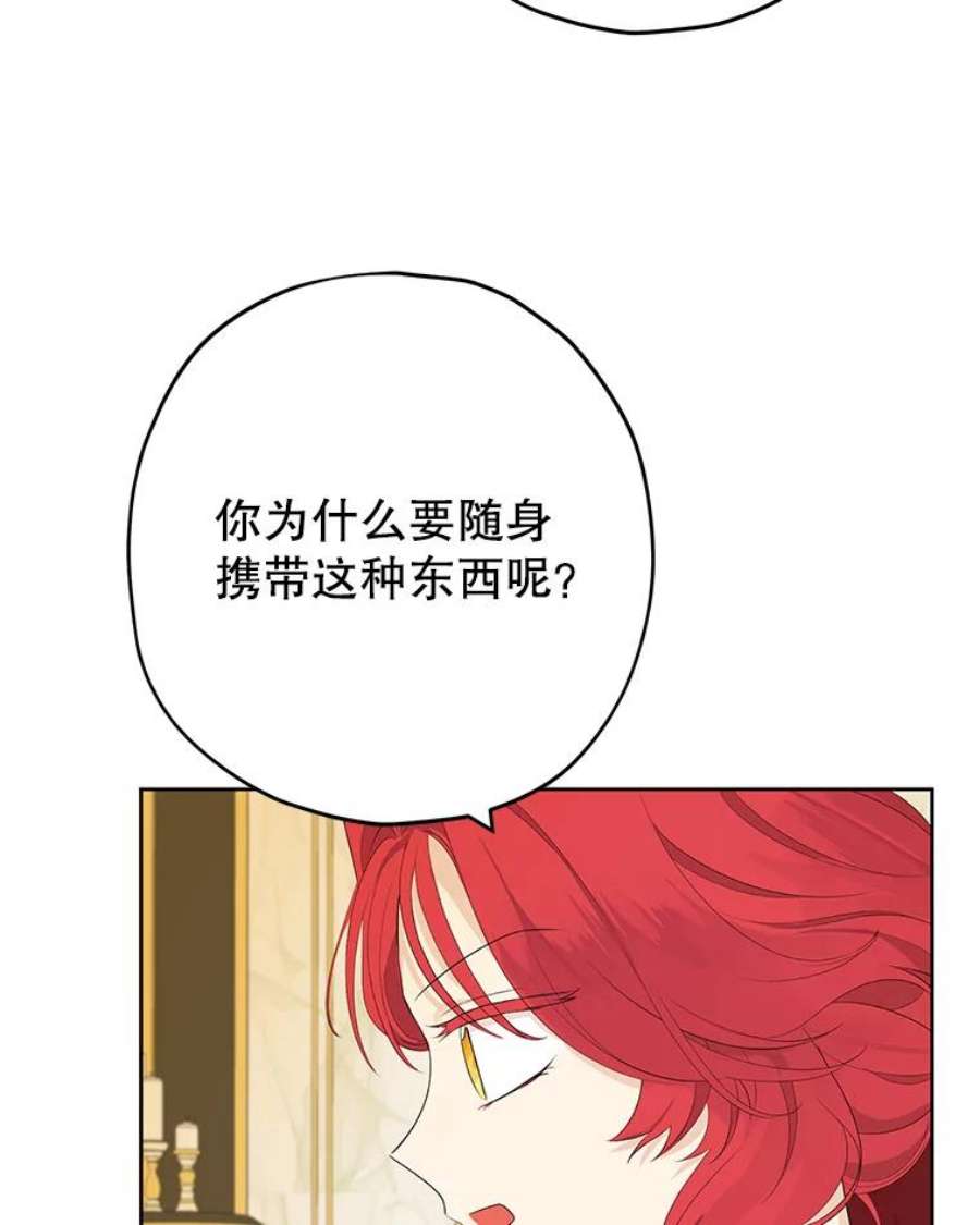 真与假的精灵师少女30.吐露真心