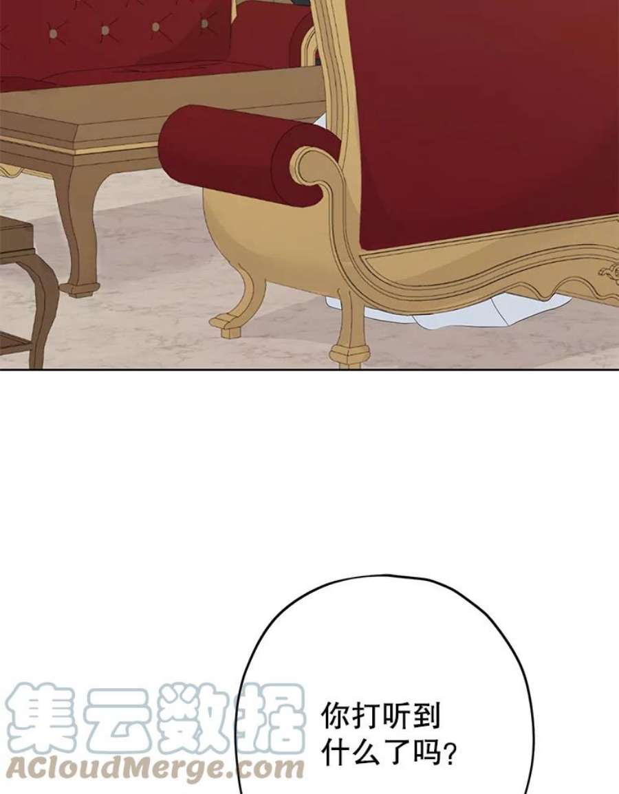 真与假的精灵师少女30.吐露真心