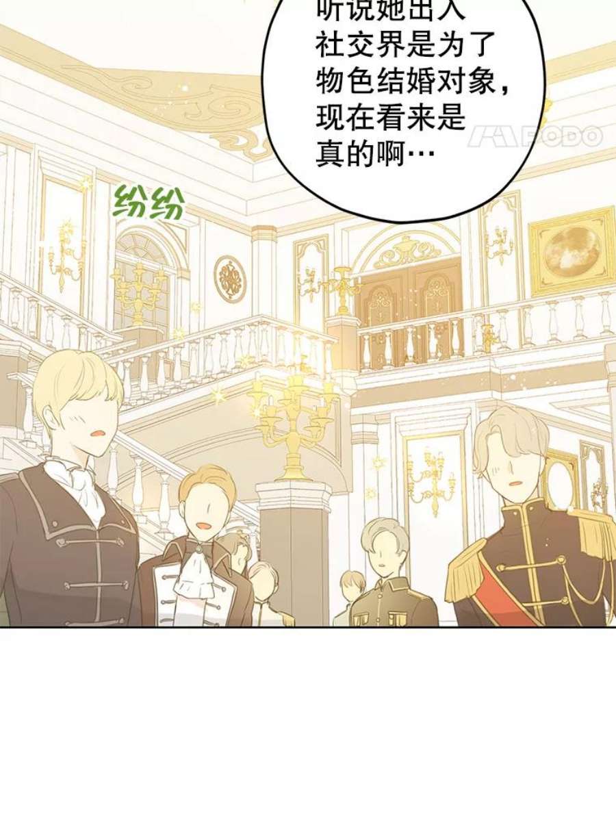 真与假的精灵师少女31.穿越者