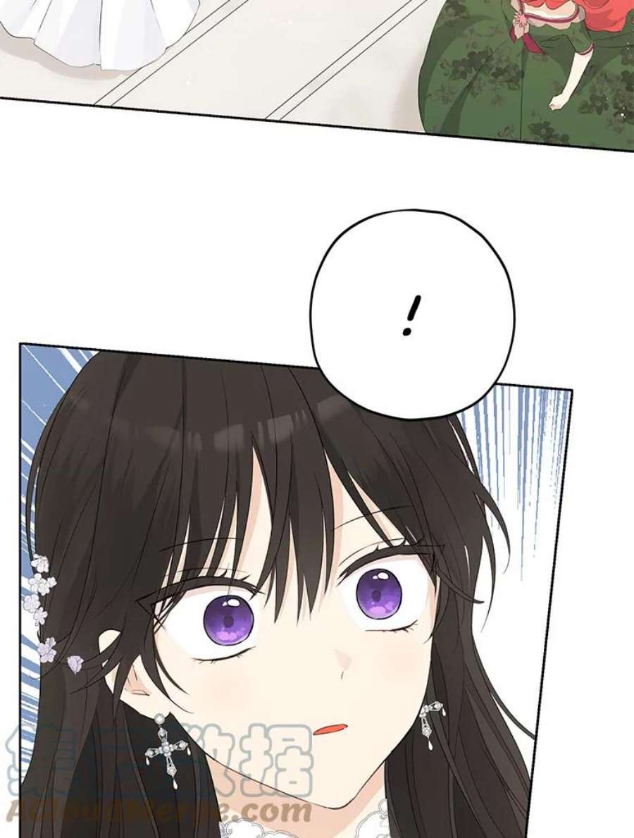 真与假的精灵师少女31.穿越者