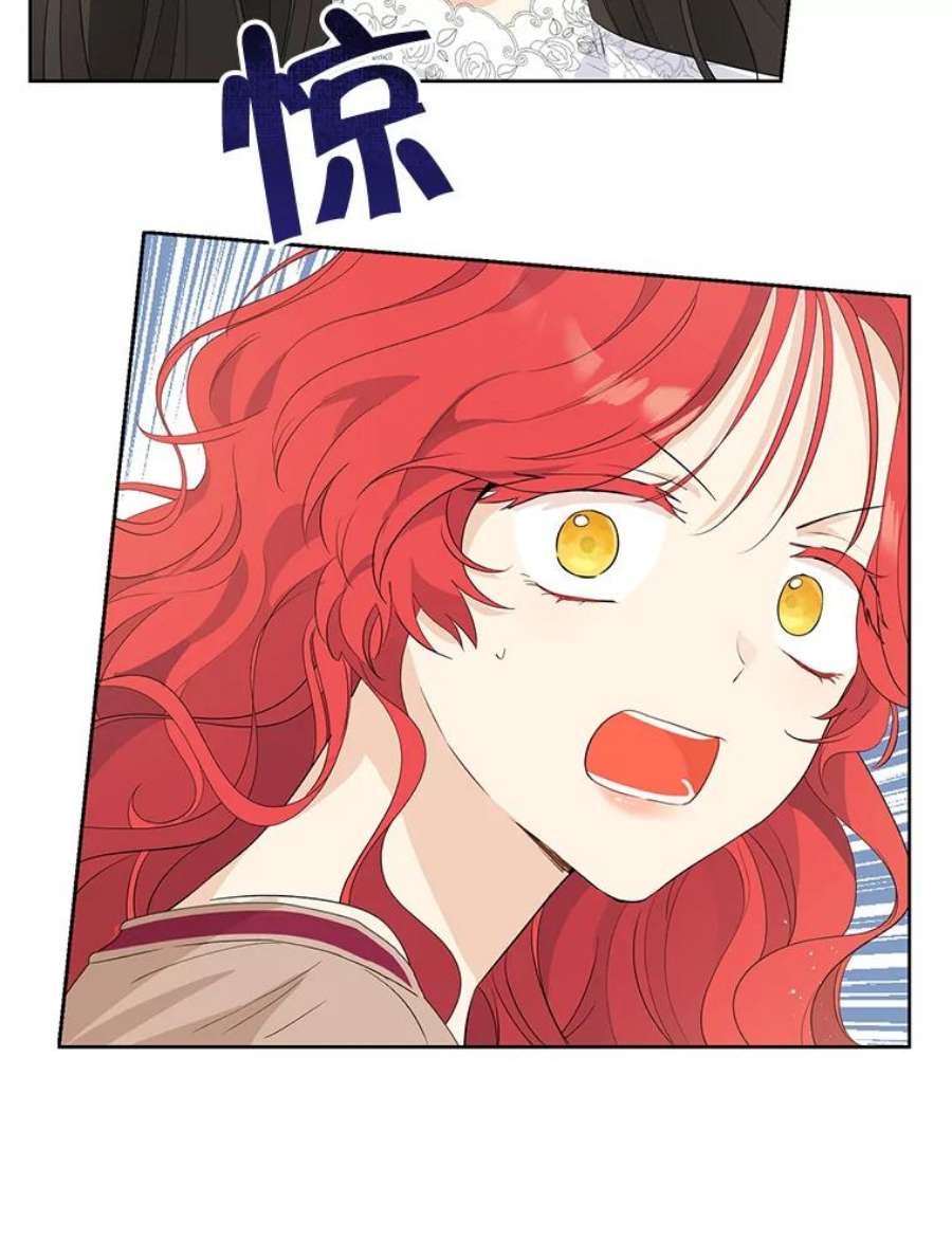 真与假的精灵师少女31.穿越者