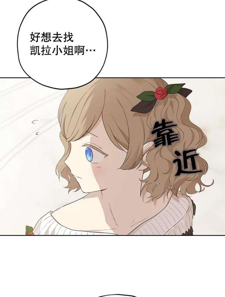 真与假的精灵师少女31.穿越者