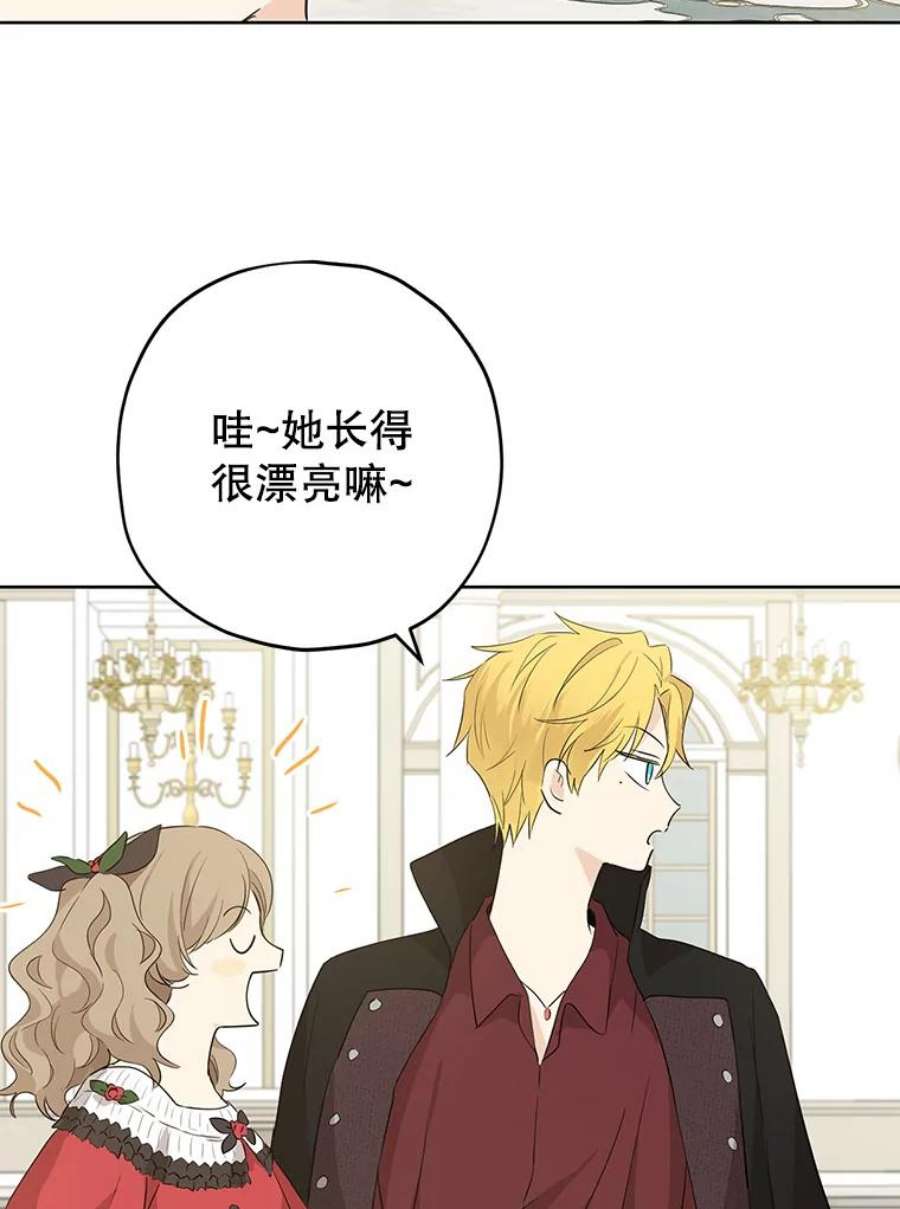 真与假的精灵师少女31.穿越者