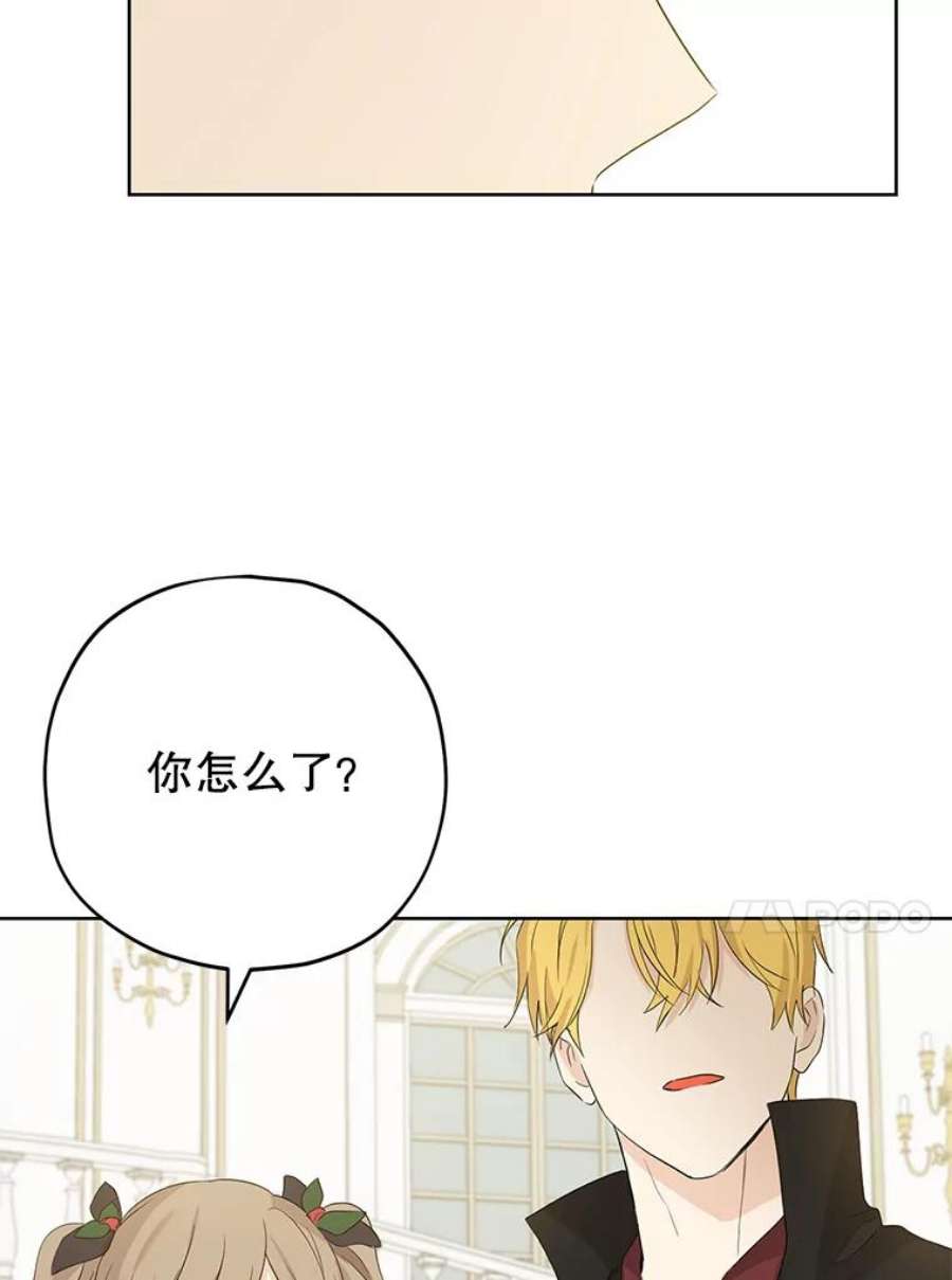 真与假的精灵师少女31.穿越者