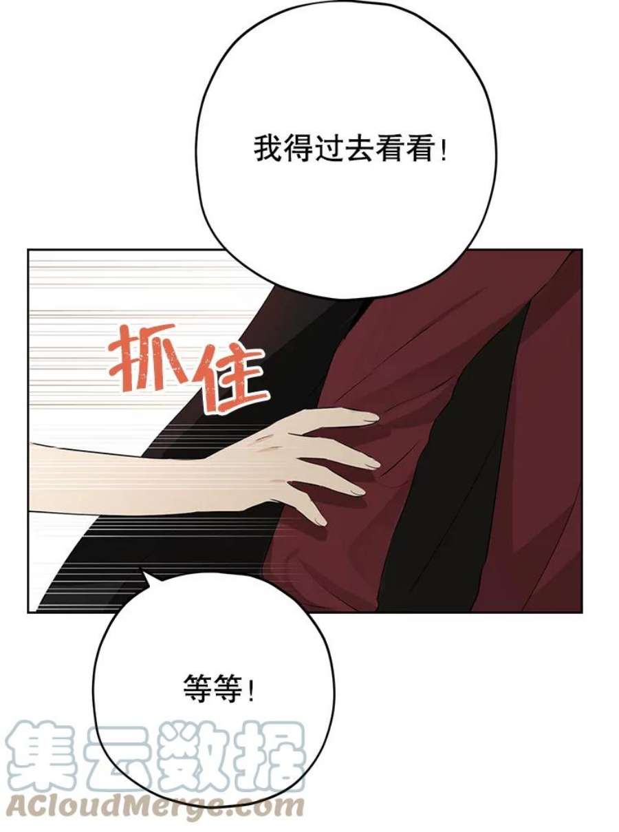 真与假的精灵师少女31.穿越者