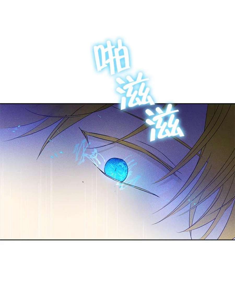 真与假的精灵师少女31.穿越者