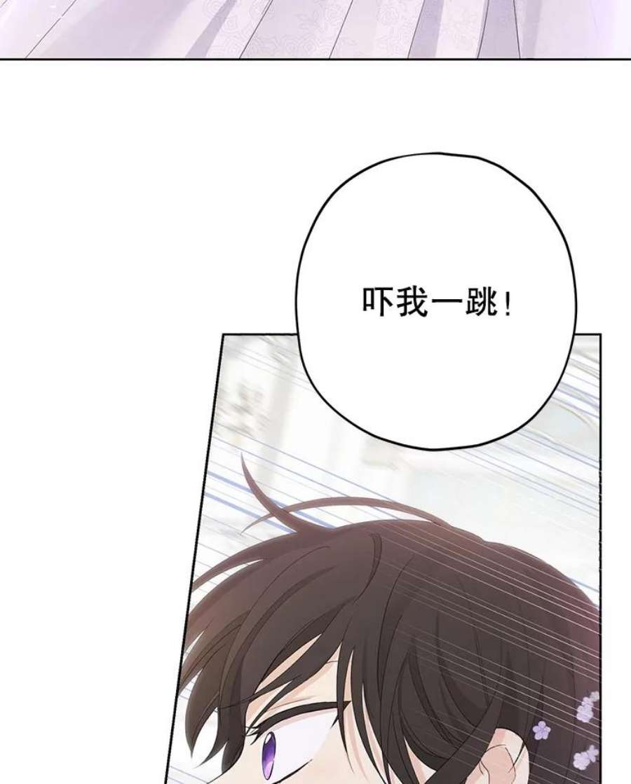 真与假的精灵师少女31.穿越者