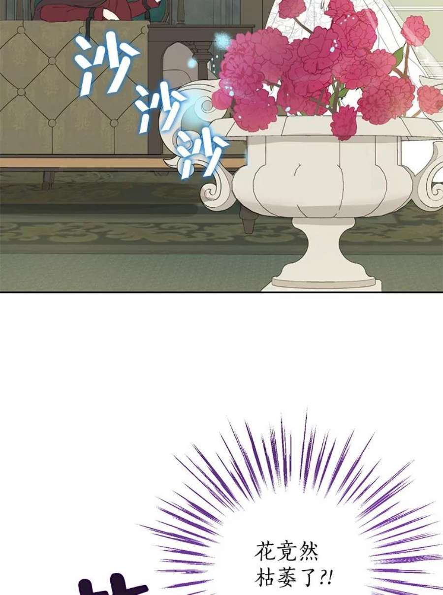 真与假的精灵师少女32.时间魔法